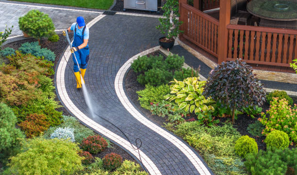 Best Roof Power Washing Services  in Pomona, NY